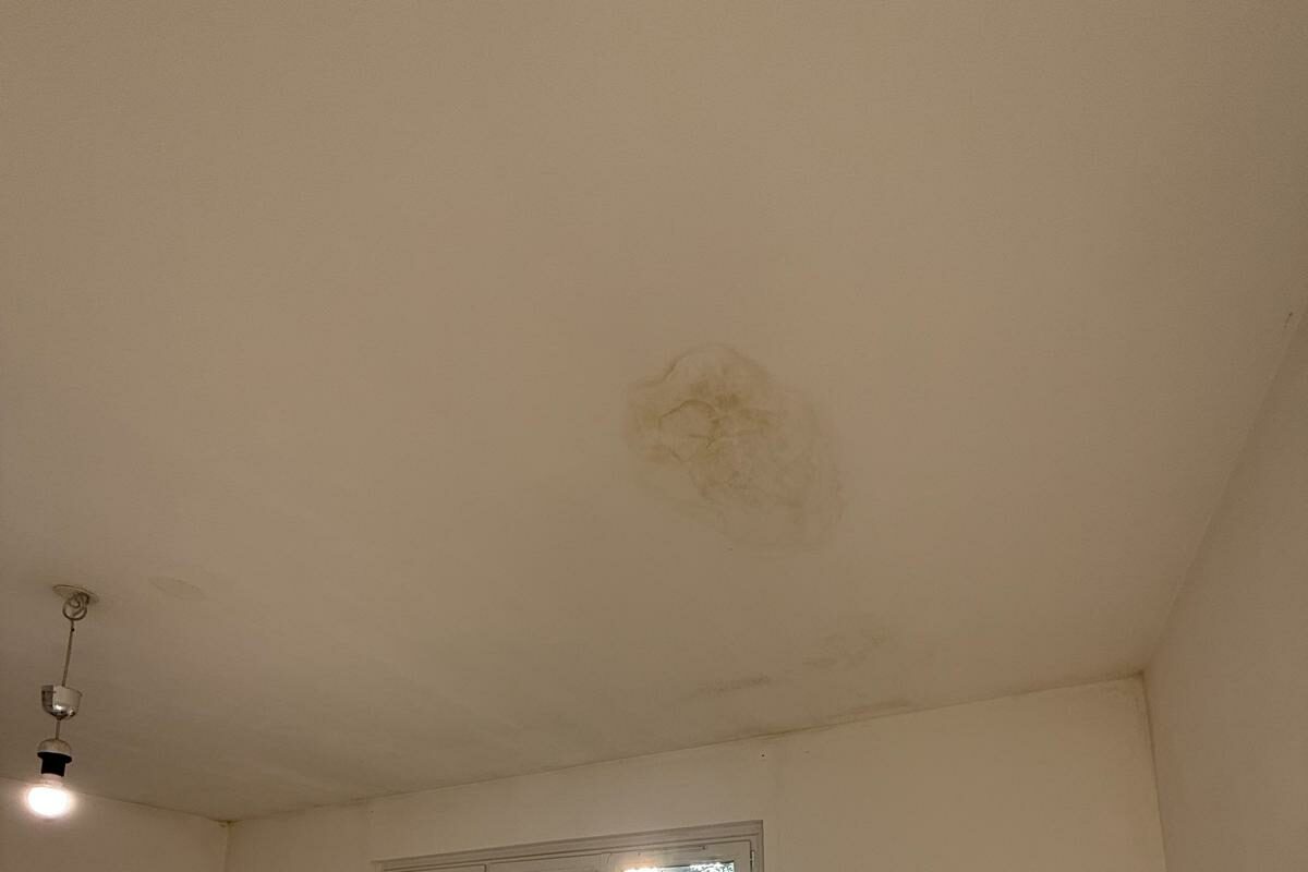 WhatsApp Image 2025-10-02 at 15.14.07 (5)