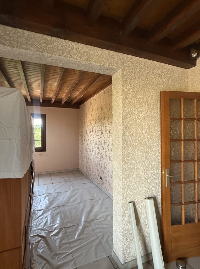 Rénovation d'un salon / salle à manger à Pont-Évêque, photo avant travaux